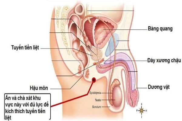 thac-mac-ve-diem-g-cua-dan-ong-co-hay-khong-1